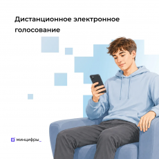 В Курганской области можно будет проголосовать дистанционно на выборах депутатов Государственной Думы