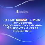 Чат-бот «Госуслуги» в мессенджере MAX: всегда в курсе выплат и других мер Социального фонда