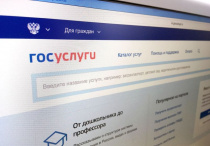 МВД России предупреждают граждан о звонках мошенников для обновления аккаунта на «Госуслугах»