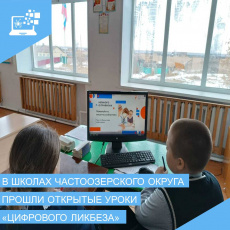Опасные незнакомцы в сети и мошенничество в кликер-играх. Школьники Курганской области изучают основы кибербезопасности на уроках «Цифрового ликбеза»