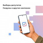 Жители Курганской области могут выбрать удобный формат голосования на выборах 2026 года через Госуслуги