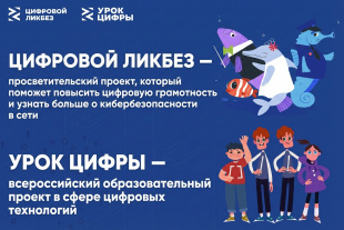 Итоги реализации образовательных проектов «Урок цифры» и «Цифровой ликбез» в Курганской области в 2025 году