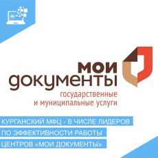 МФЦ Курганской области признан одним из лучших центров «Мои документы» в России