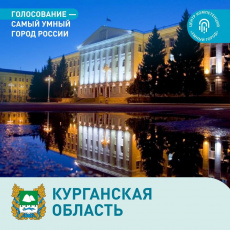 Выбираем самый умный город Курганской области