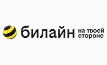 В 10 удаленных селах Курганской области билайн запустил скоростной 4G-интернет 