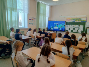 В школах Курганской области провели «Цифровой ликбез» на тему: «Дропперство: что это и чем опасно»