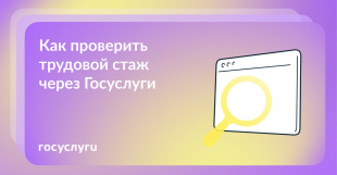 Жители Курганской области могут проверить трудовой стаж через Госуслуги